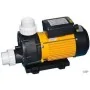 LX TDA200 Spa Massagepomp 2 PK - 1 speed