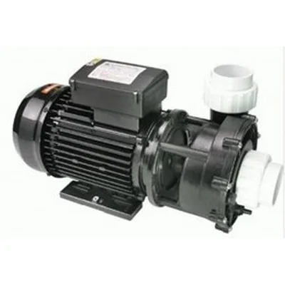 WP250-II 2,5 HP 2-speed jet/massage pomp