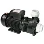 WP400-I 3HP 2-speed jet/massage pomp