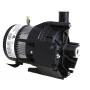 Laing E10 spa pomp