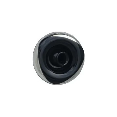 Spa Jet Rising Dragon 2.5'' Directional - Stainless Steel